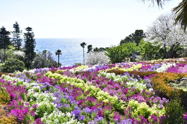 🖼️ 뉴욕 램프 박물관 & 플라워 가든(뉴욕 램프 뮤지엄 & 플라워 가든) 이미지 3